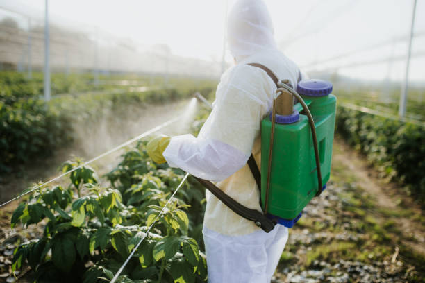 Best Seasonal Pest Control  in Harvest, AL